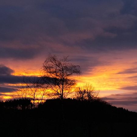 Fewo Naturgetreu Medebach Bagian luar foto