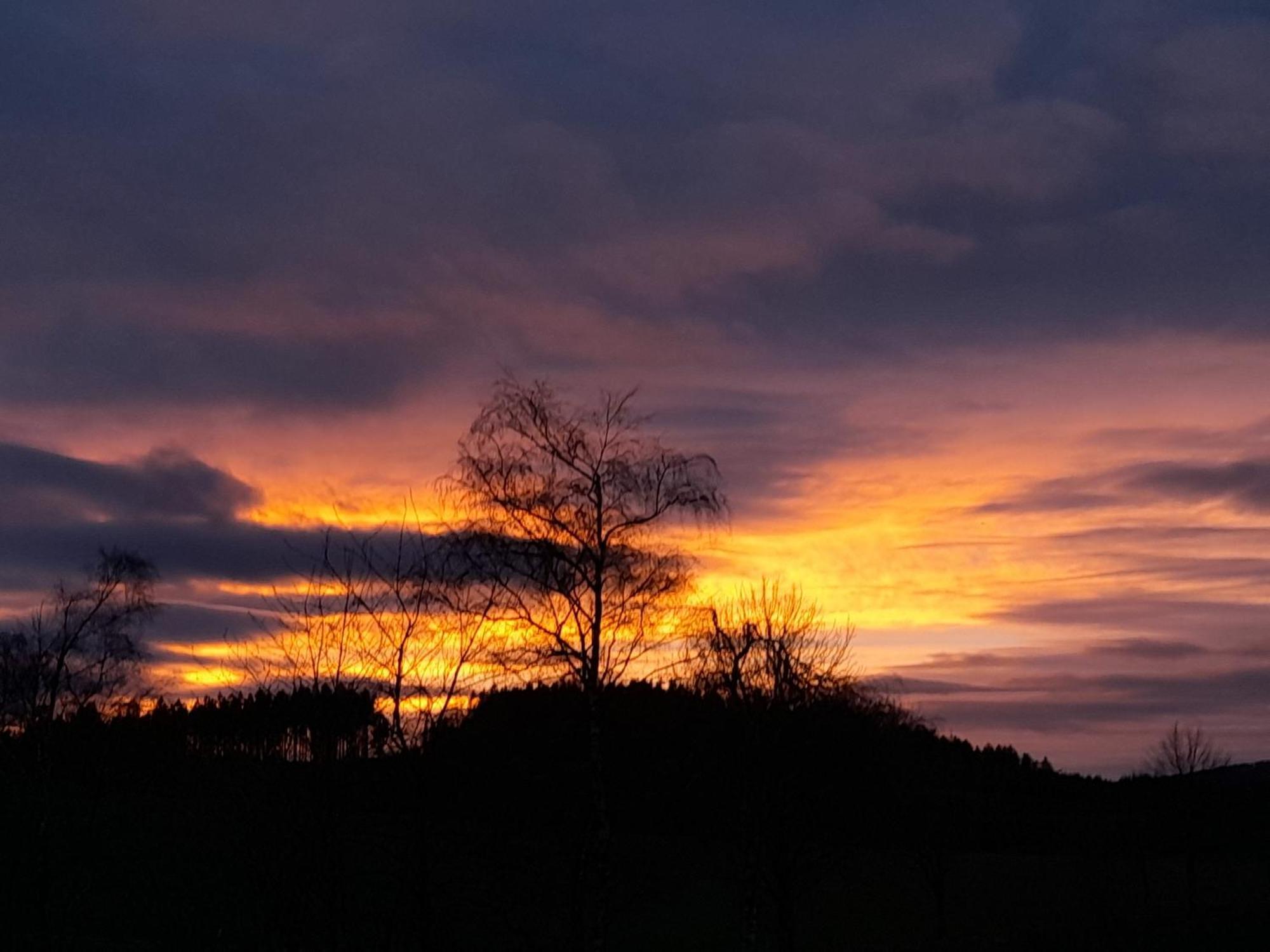 Fewo Naturgetreu Medebach Bagian luar foto
